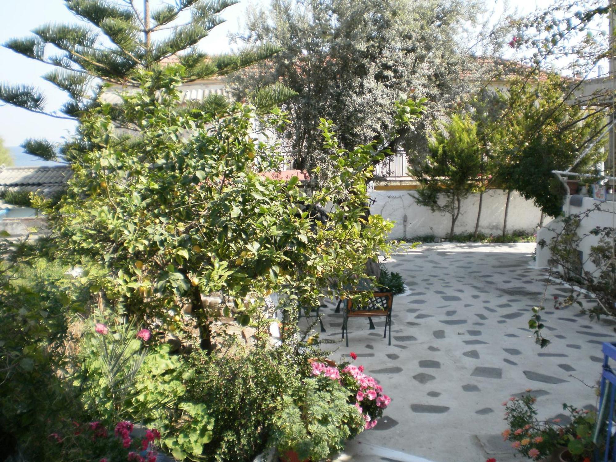 Sunrise Flora Agia Marina (Aegina) Exterior foto