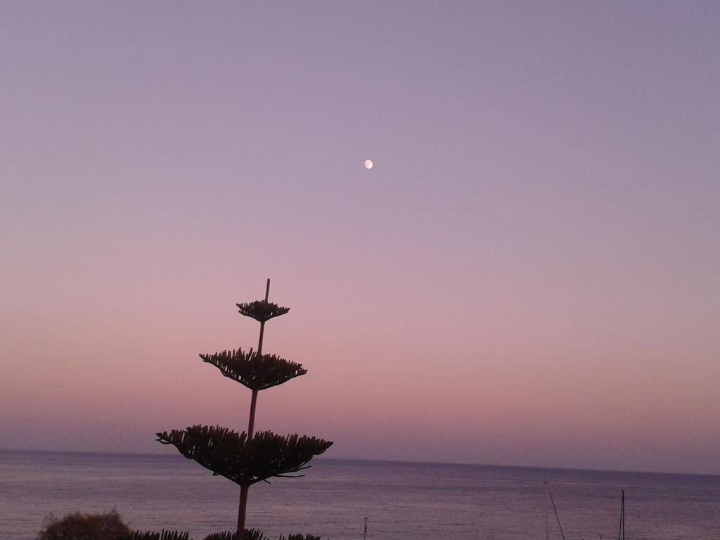 Sunrise Flora Agia Marina (Aegina) Exterior foto