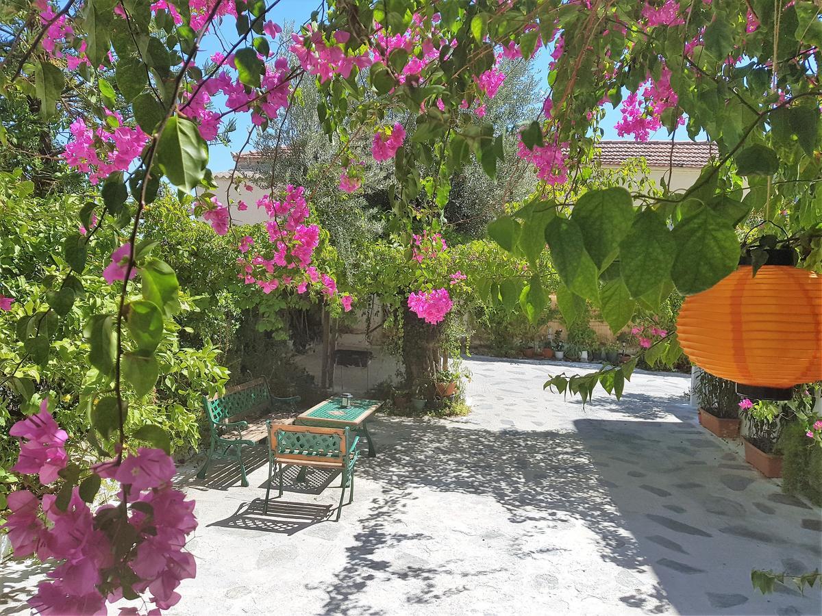 Sunrise Flora Agia Marina (Aegina) Exterior foto