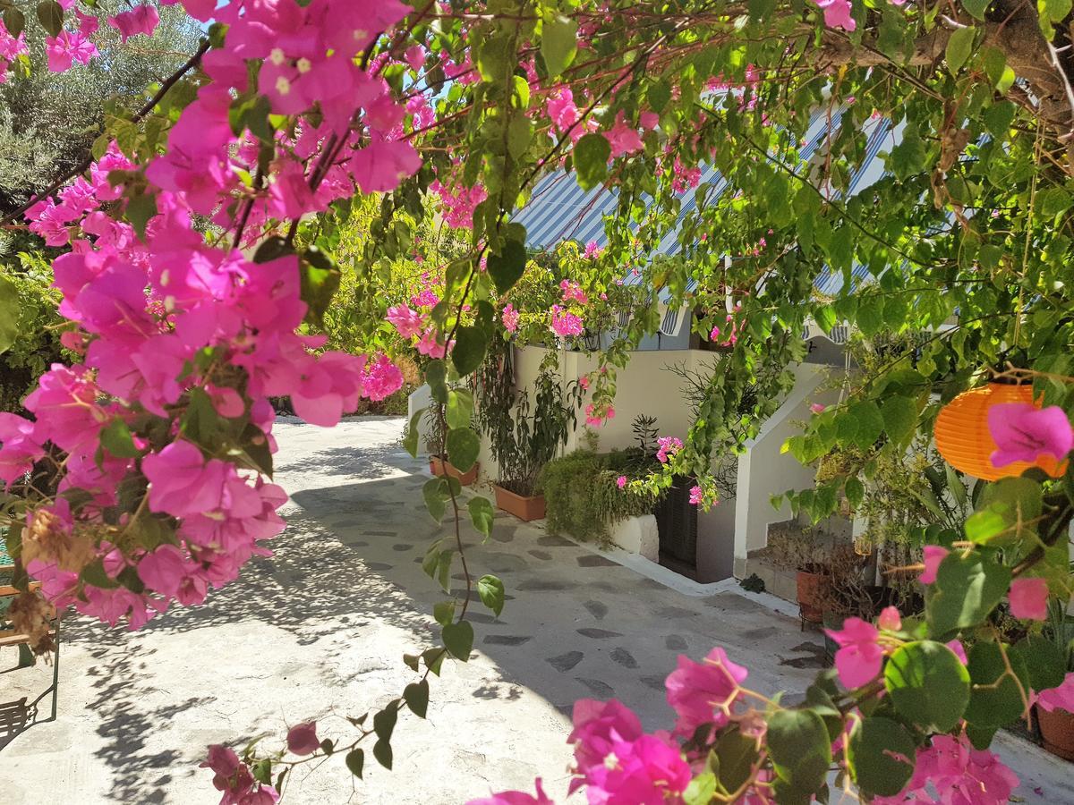 Sunrise Flora Agia Marina (Aegina) Exterior foto